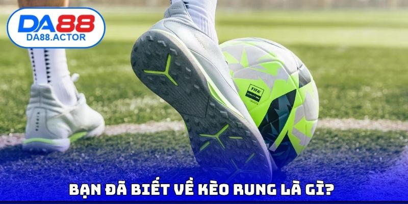 Bạn đã biết về kèo rung là gì?
