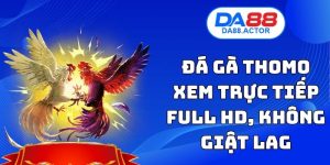 Đá Gà Thomo