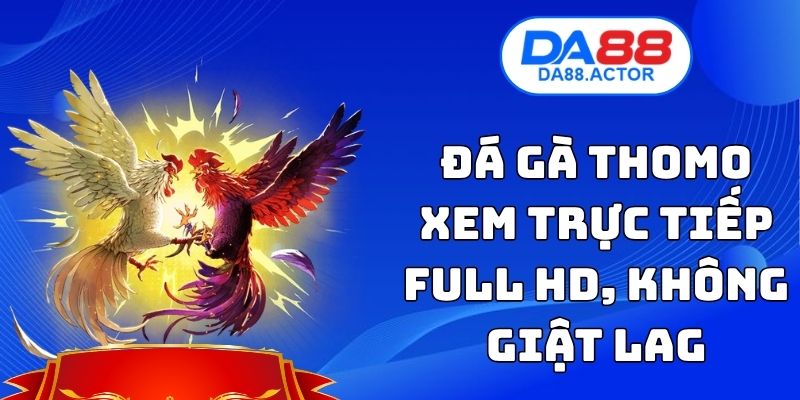 Đá Gà Thomo