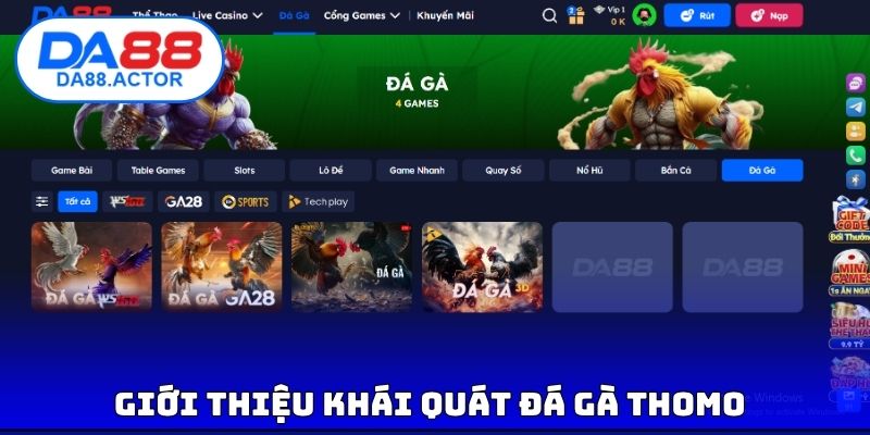 Giới thiệu khái quát đá gà thomo