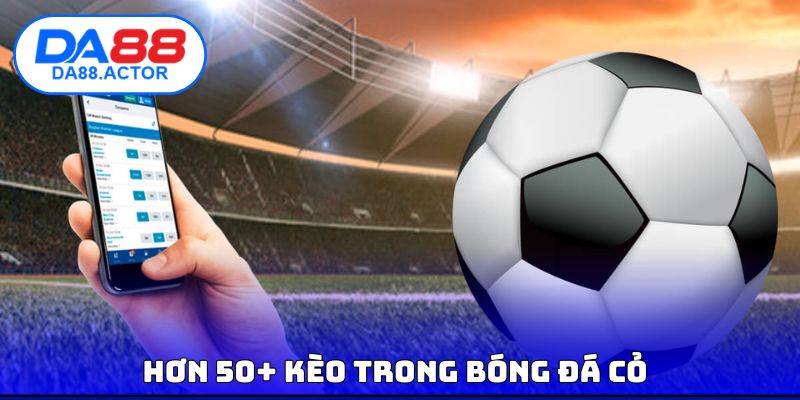 Hơn 50+ kèo trong bóng đá cỏ