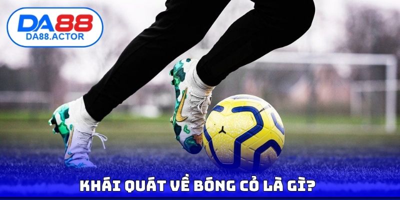 Khái quát về bóng cỏ là gì?