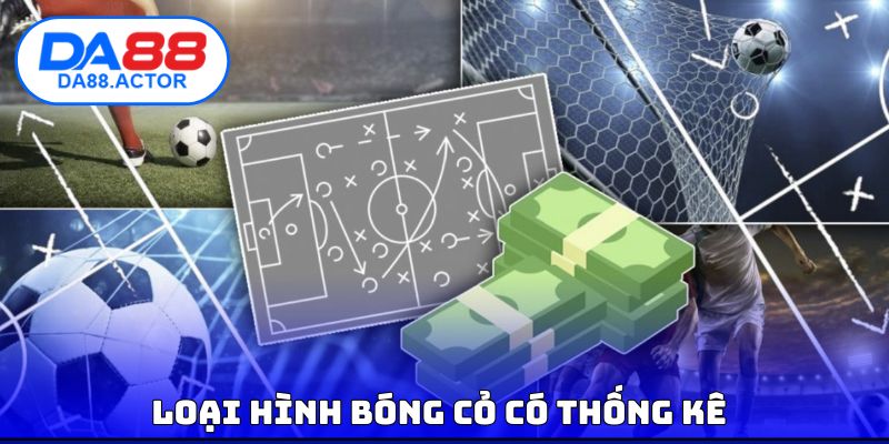 Loại hình bóng cỏ có thống kê